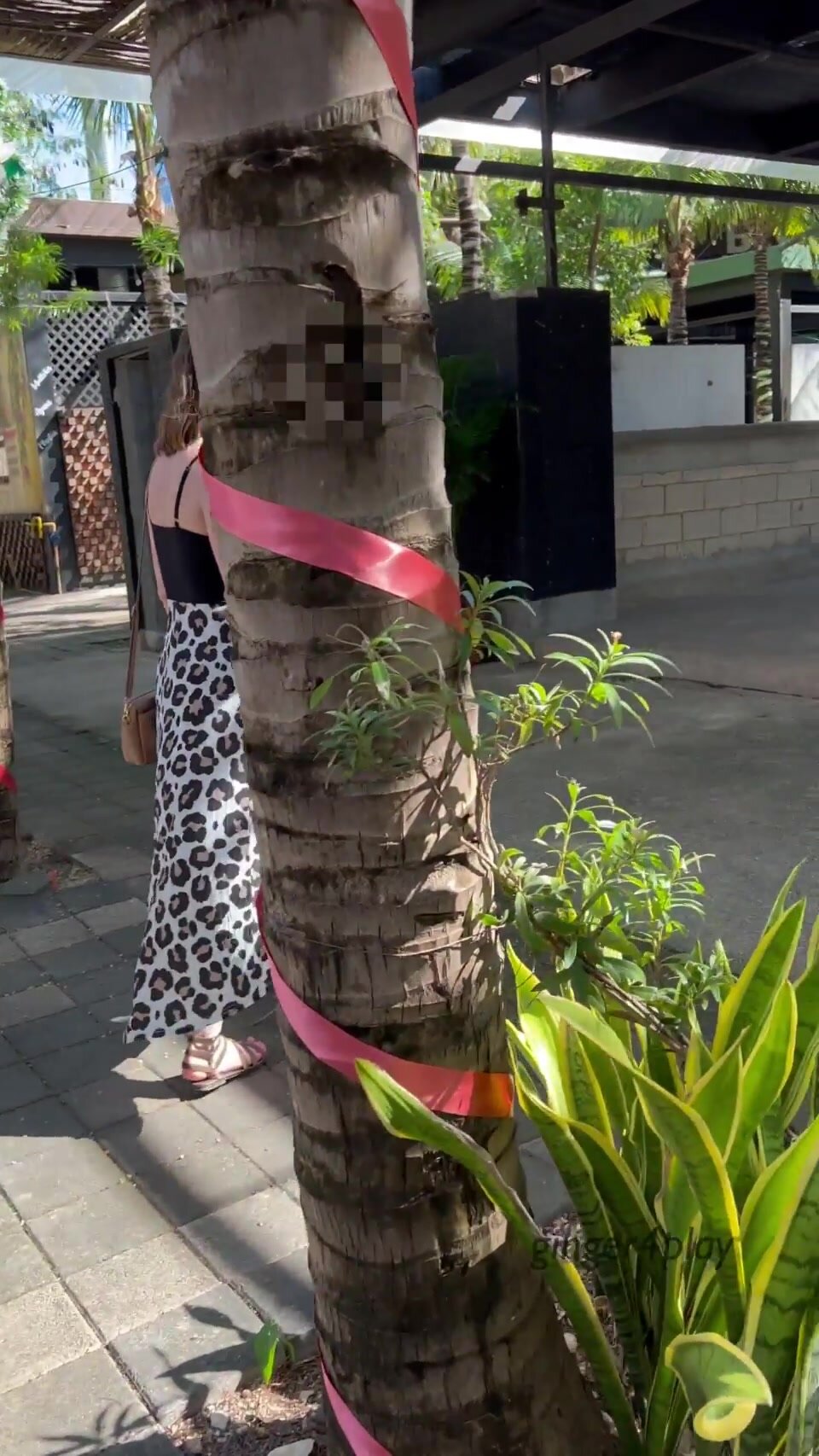 Come here, I've got something to show you