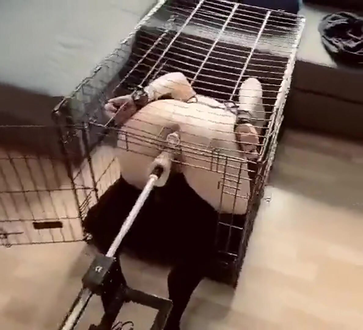 This is what happens to girl that don't obey