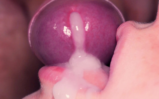 Juicy lips lick the head of the penis while the guy moans.