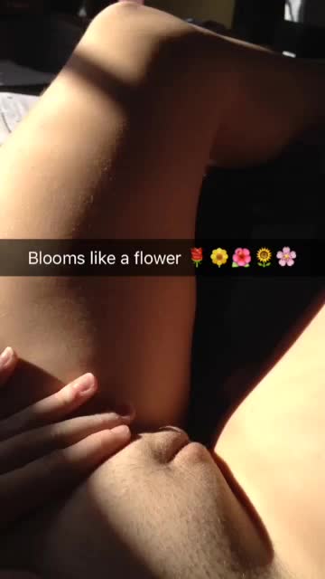 Blooming flower