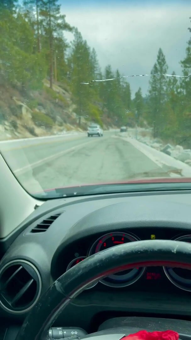 Honk if you like pussy