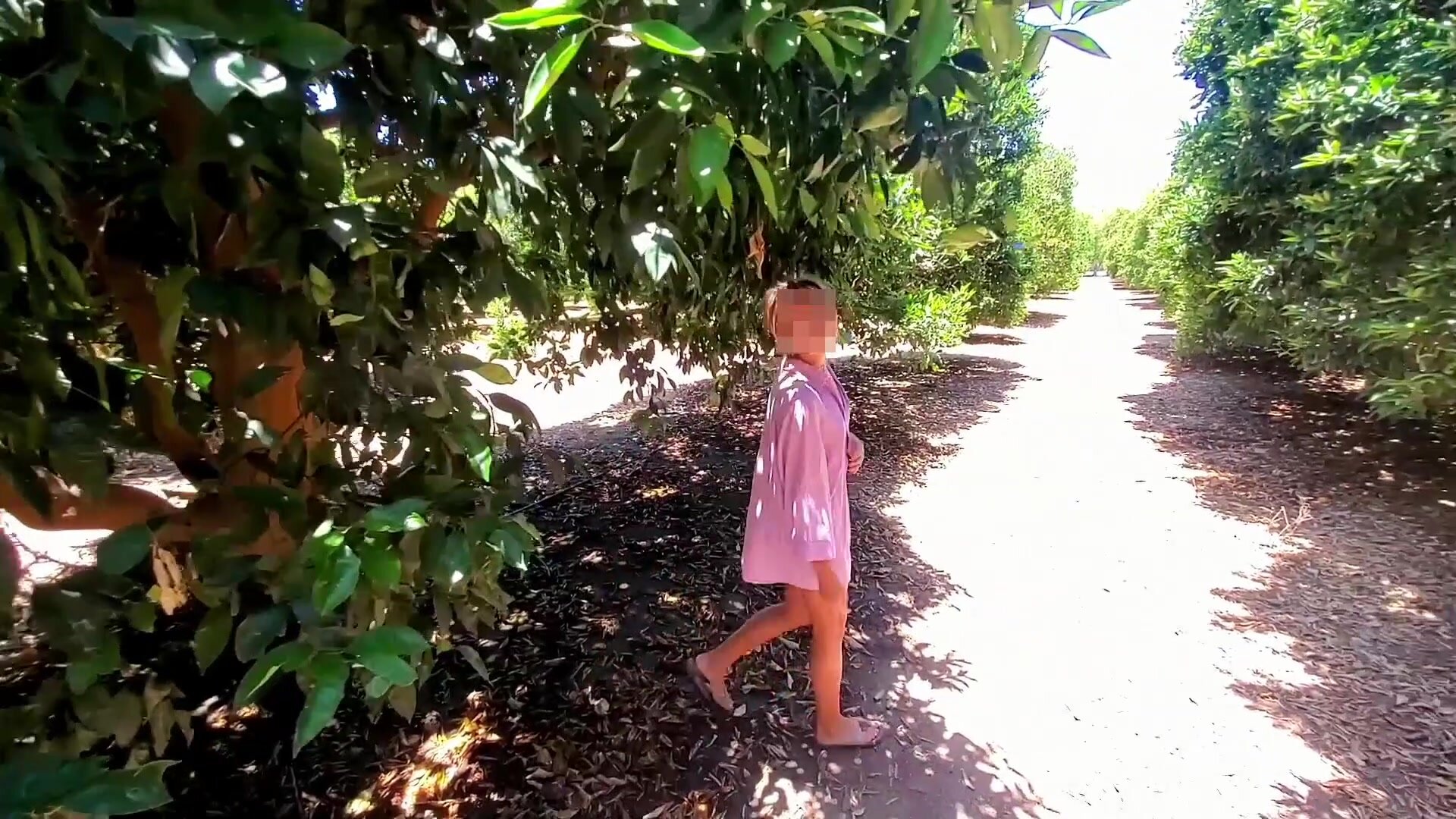 I'm walking naked through the orchard while cars drive by!