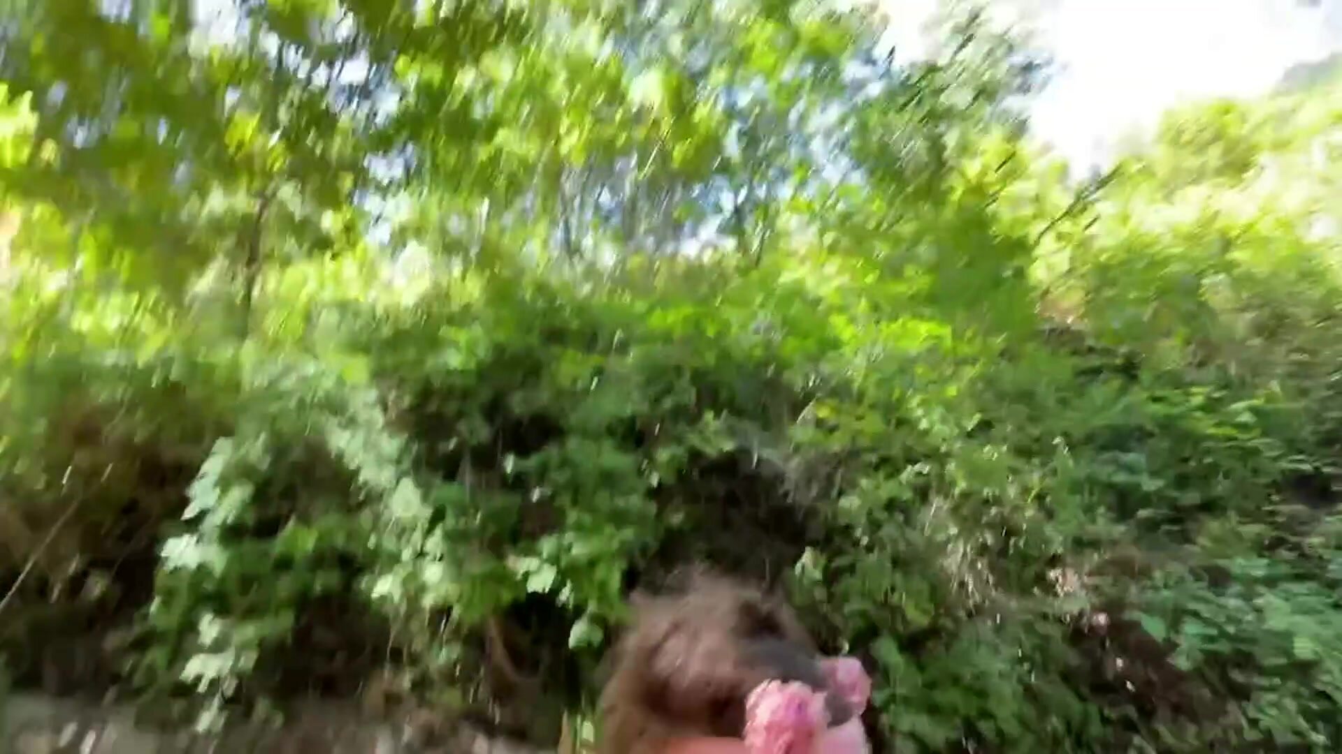 Something something adorable pee in the forest.. MILF