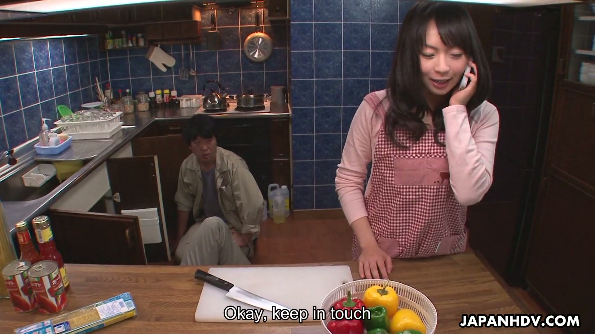 A plumber feeds a lonely Japanese housewife Nozomi Hazuki with his dick picture photo