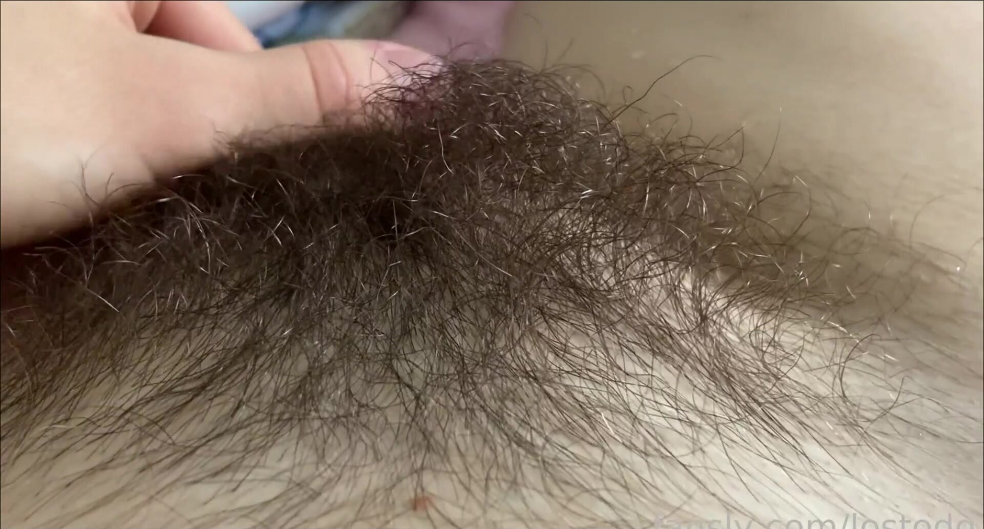 My bush is so big and soft